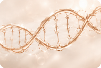 COLLAGEN REMODELING